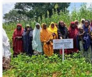 Empower women for selfreilance